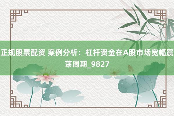 正规股票配资 案例分析：杠杆资金在A股市场宽幅震荡周期_9827
