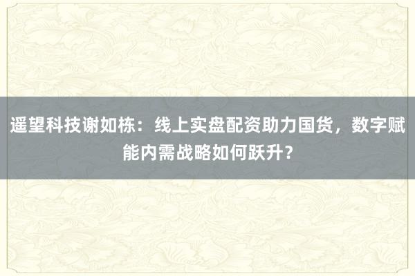 遥望科技谢如栋：线上实盘配资助力国货，数字赋能内需战略如何跃升？
