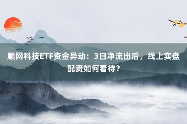 顺网科技ETF资金异动：3日净流出后，线上实盘配资如何看待？