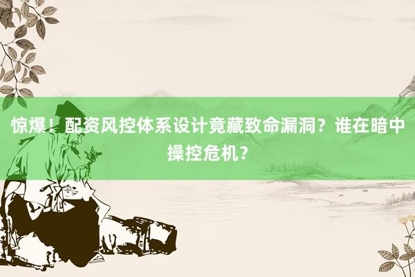 惊爆！配资风控体系设计竟藏致命漏洞？谁在暗中操控危机？