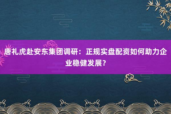 唐礼虎赴安东集团调研:正规实盘配资如何助力企业稳健发展?