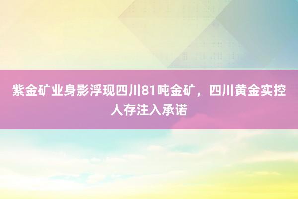 紫金矿业身影浮现四川81吨金矿，四川黄金实控人存注入承诺