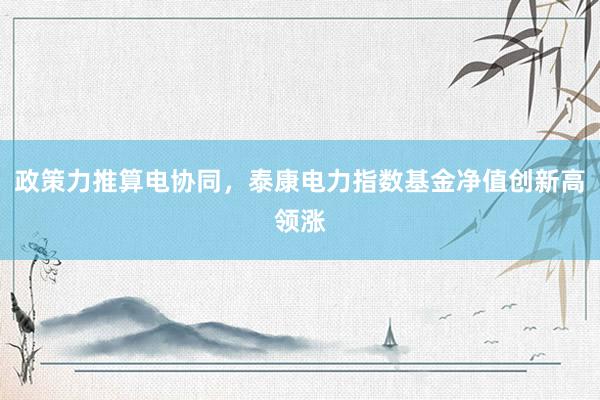 政策力推算电协同，泰康电力指数基金净值创新高领涨