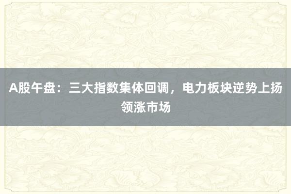 A股午盘:三大指数集体回调,电力板块逆势上扬领涨市场