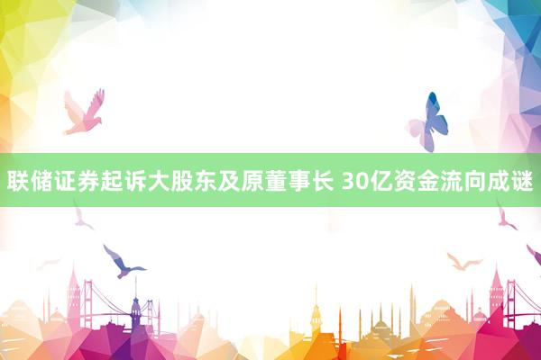 联储证券起诉大股东及原董事长 30亿资金流向成谜