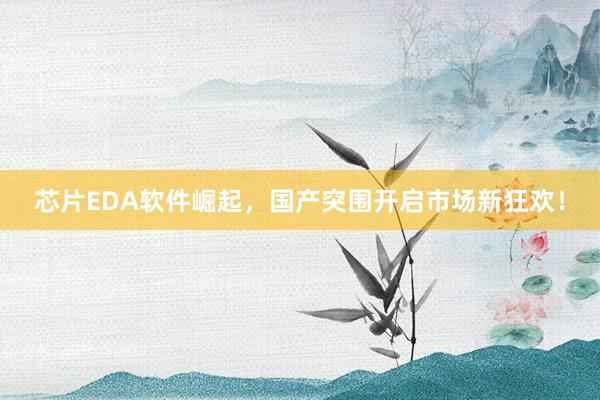 芯片EDA软件崛起，国产突围开启市场新狂欢！