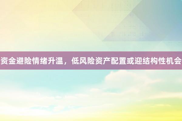 资金避险情绪升温，低风险资产配置或迎结构性机会