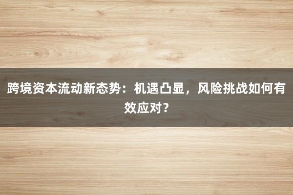 跨境资本流动新态势：机遇凸显，风险挑战如何有效应对？