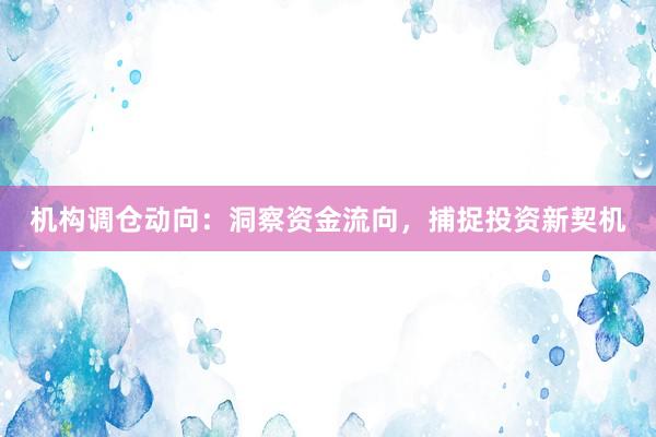 机构调仓动向：洞察资金流向，捕捉投资新契机