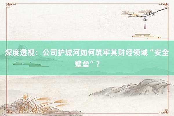 深度透视：公司护城河如何筑牢其财经领域“安全壁垒”？