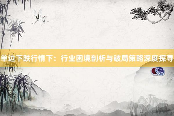 单边下跌行情下：行业困境剖析与破局策略深度探寻