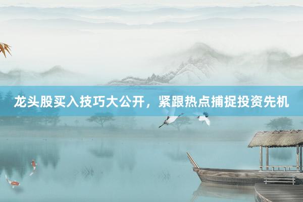 龙头股买入技巧大公开，紧跟热点捕捉投资先机