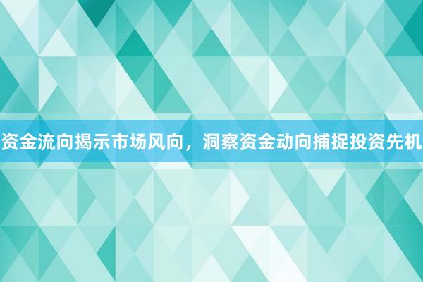 资金流向揭示市场风向，洞察资金动向捕捉投资先机