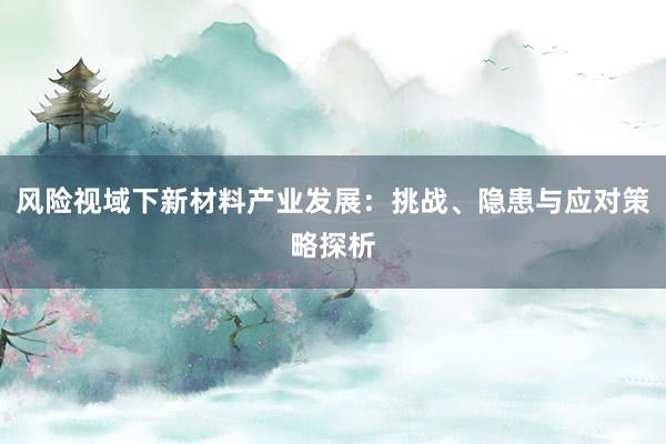 风险视域下新材料产业发展：挑战、隐患与应对策略探析