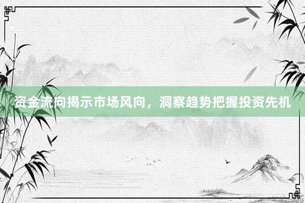 资金流向揭示市场风向，洞察趋势把握投资先机