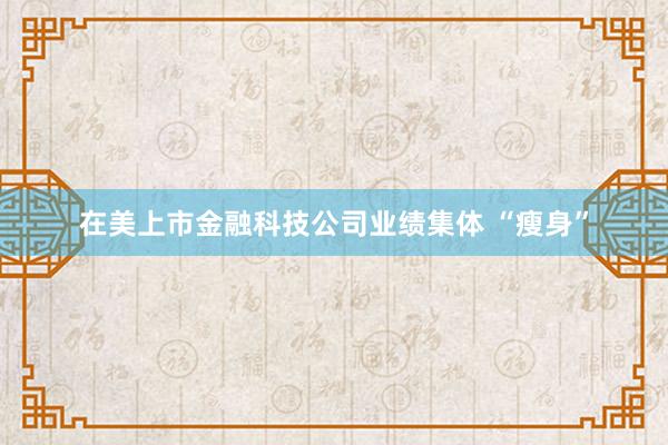 在美上市金融科技公司业绩集体 “瘦身”