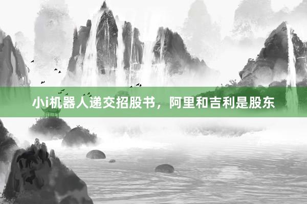 小i机器人递交招股书，阿里和吉利是股东