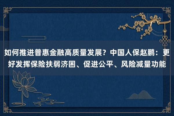 如何推进普惠金融高质量发展?中国人保赵鹏:更好发挥保险扶弱济困、促进公平、风险减量功能