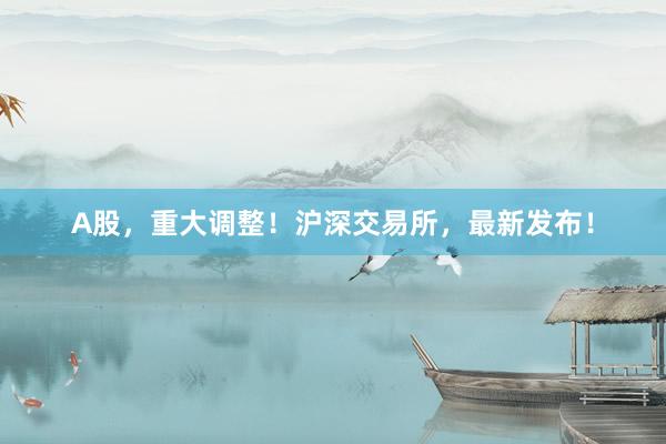 A股，重大调整！沪深交易所，最新发布！