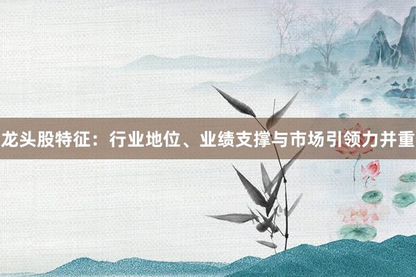 龙头股特征：行业地位、业绩支撑与市场引领力并重