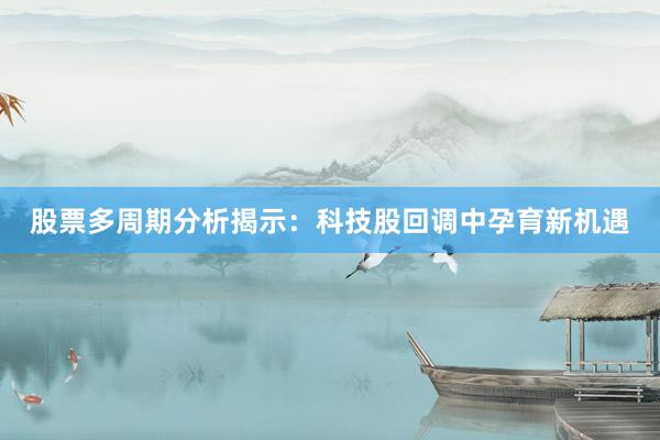 股票多周期分析揭示：科技股回调中孕育新机遇