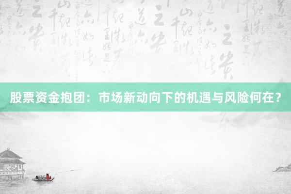 股票资金抱团：市场新动向下的机遇与风险何在？