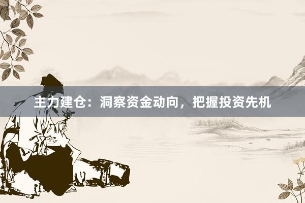 主力建仓：洞察资金动向，把握投资先机