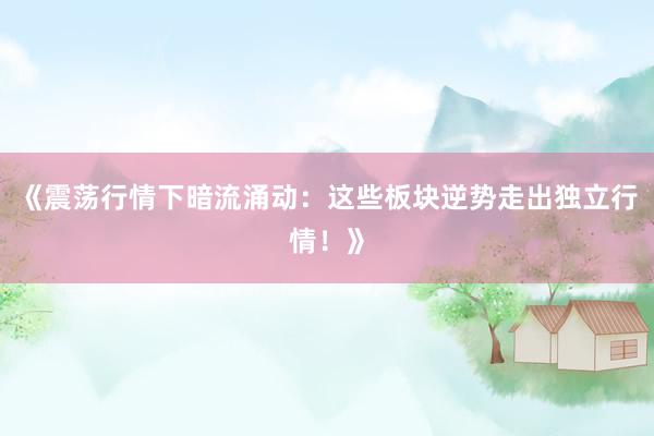 《震荡行情下暗流涌动：这些板块逆势走出独立行情！》
