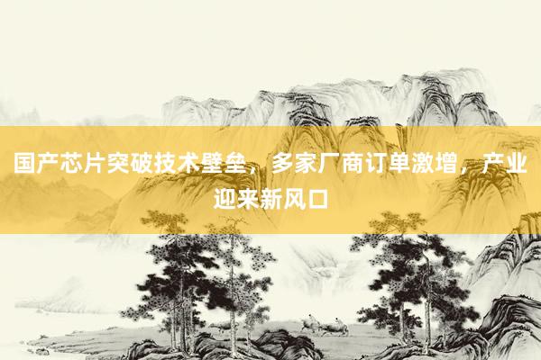 国产芯片突破技术壁垒，多家厂商订单激增，产业迎来新风口