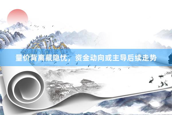 量价背离藏隐忧，资金动向或主导后续走势