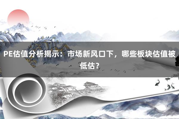 PE估值分析揭示:市场新风口下,哪些板块估值被低估?