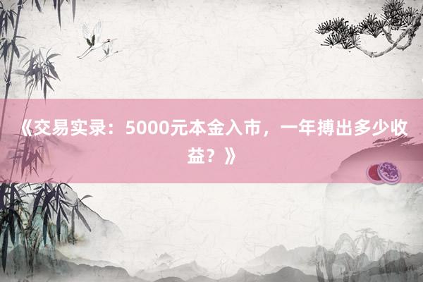《交易实录：5000元本金入市，一年搏出多少收益？》