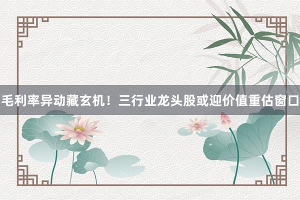 毛利率异动藏玄机！三行业龙头股或迎价值重估窗口