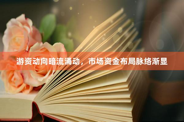 游资动向暗流涌动，市场资金布局脉络渐显