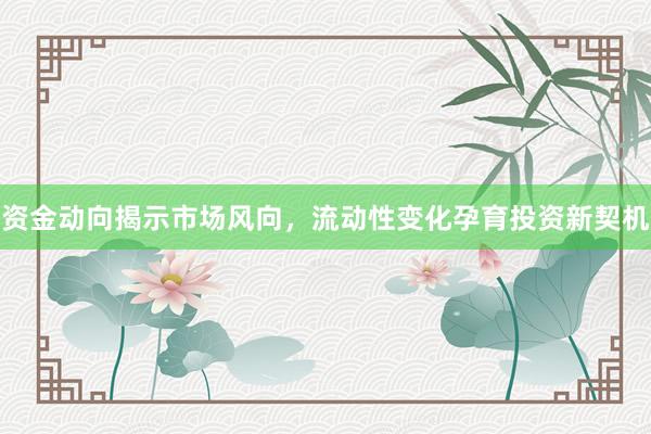 资金动向揭示市场风向，流动性变化孕育投资新契机