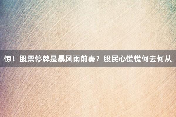 惊!股票停牌是暴风雨前奏?股民心慌慌何去何从