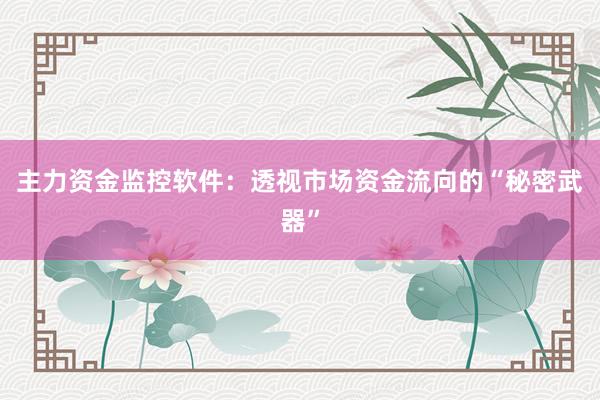 主力资金监控软件：透视市场资金流向的“秘密武器”
