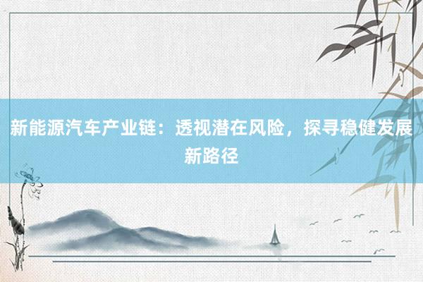 新能源汽车产业链：透视潜在风险，探寻稳健发展新路径