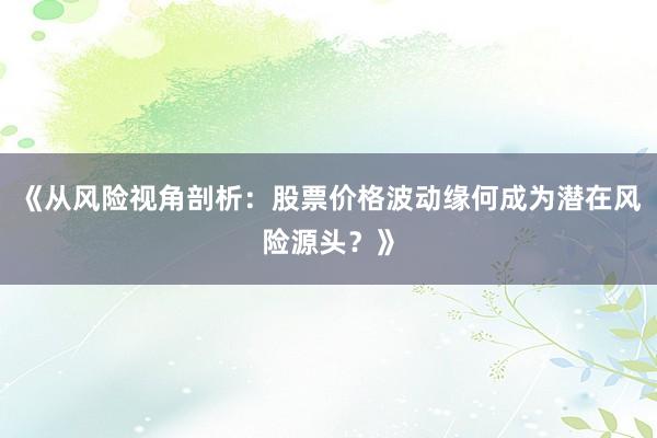 《从风险视角剖析：股票价格波动缘何成为潜在风险源头？》
