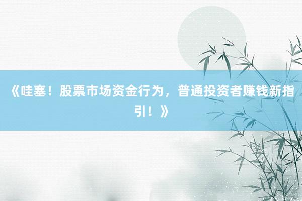 《哇塞！股票市场资金行为，普通投资者赚钱新指引！》