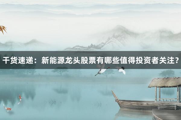 干货速递：新能源龙头股票有哪些值得投资者关注？