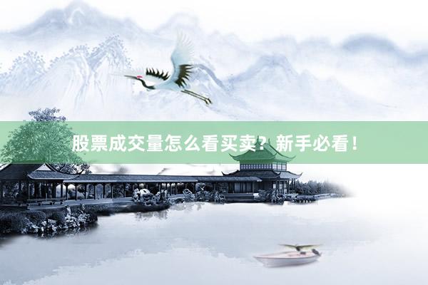 股票成交量怎么看买卖?新手必看!