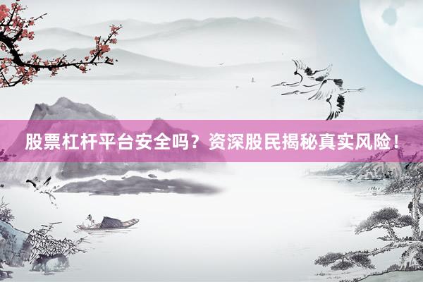 股票杠杆平台安全吗？资深股民揭秘真实风险！