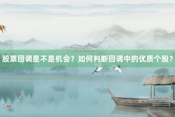 股票回调是不是机会？如何判断回调中的优质个股？