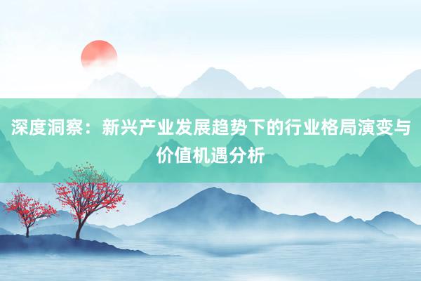 深度洞察：新兴产业发展趋势下的行业格局演变与价值机遇分析